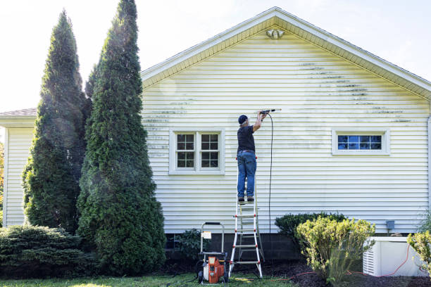 Best Affordable Power Washing  in Brier, WA